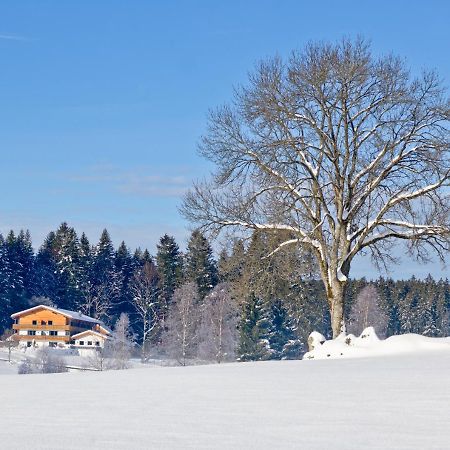 Landhotel Moorhof Нойшёнау Экстерьер фото